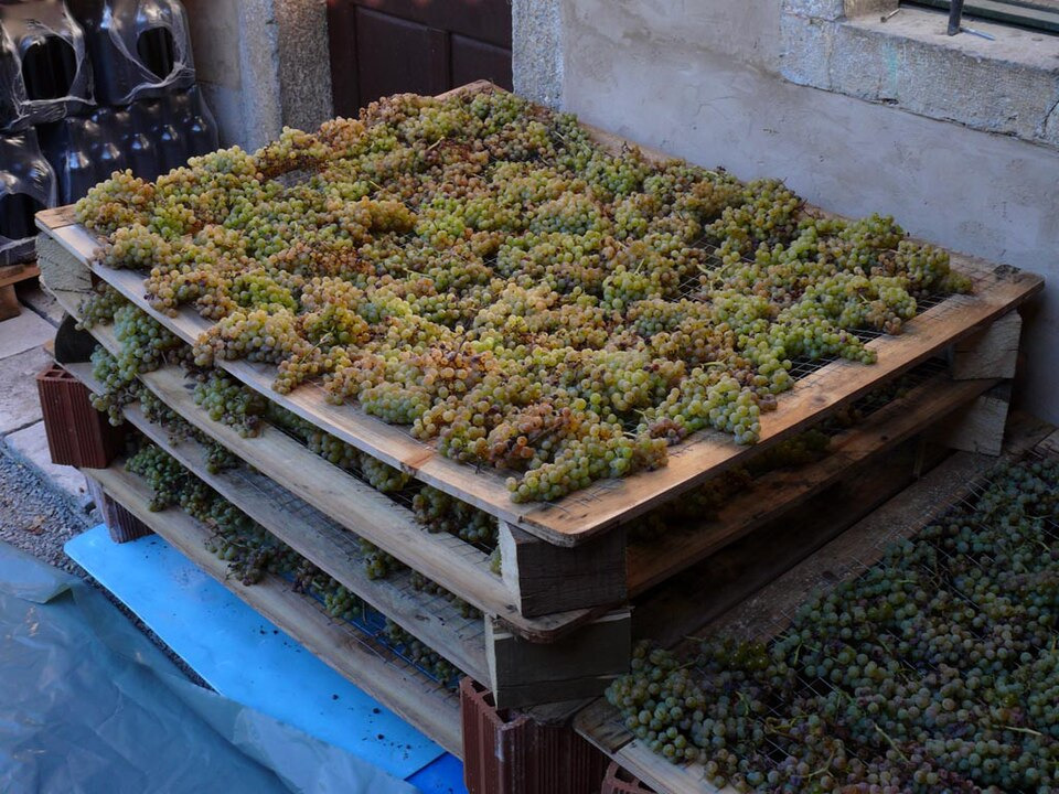 Learn More About Appassimento Wine