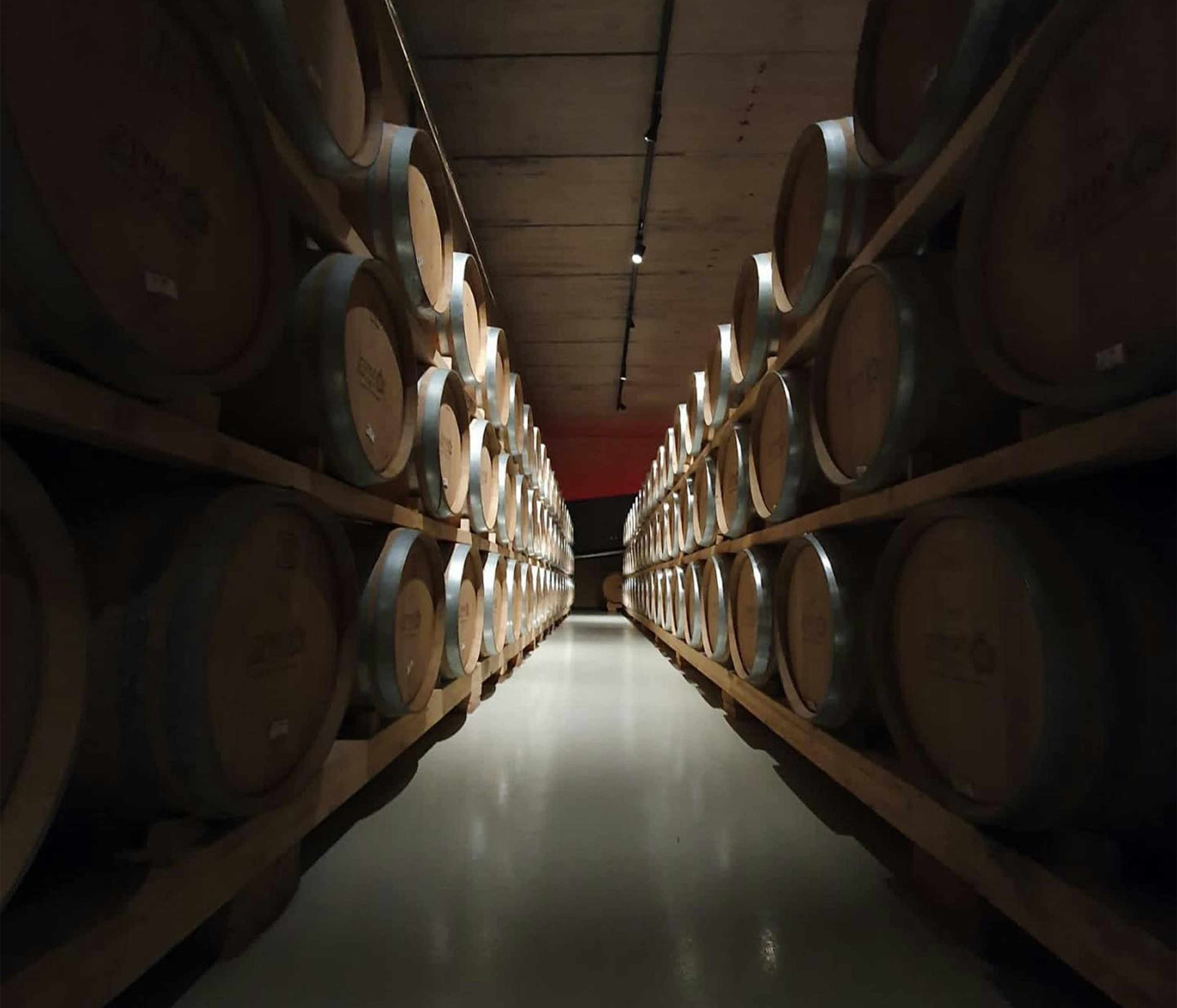 The Factors that Make a Wine More Capable of Bottle Aging