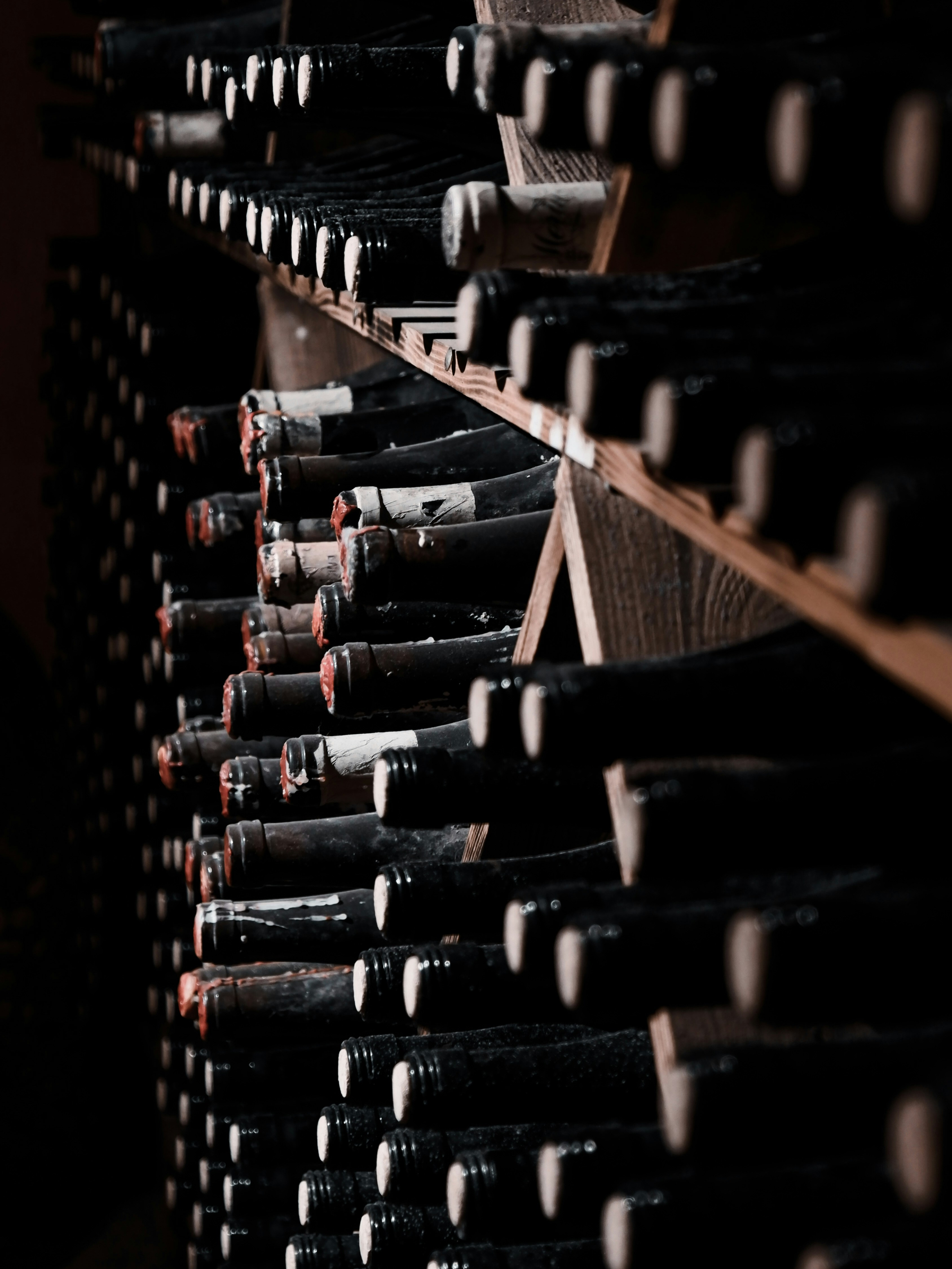 Ever Wonder What Makes a Wine Age Worthy? (Part 2)