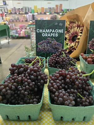 Ever Wonder?  Are Champagne Grapes Used to Produce Champagne?