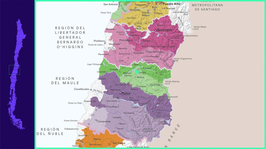 Cabernet Sauvignon in Chile - The Colchagua Valley