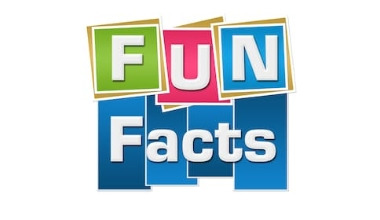 Wine Fun Facts - Champagne