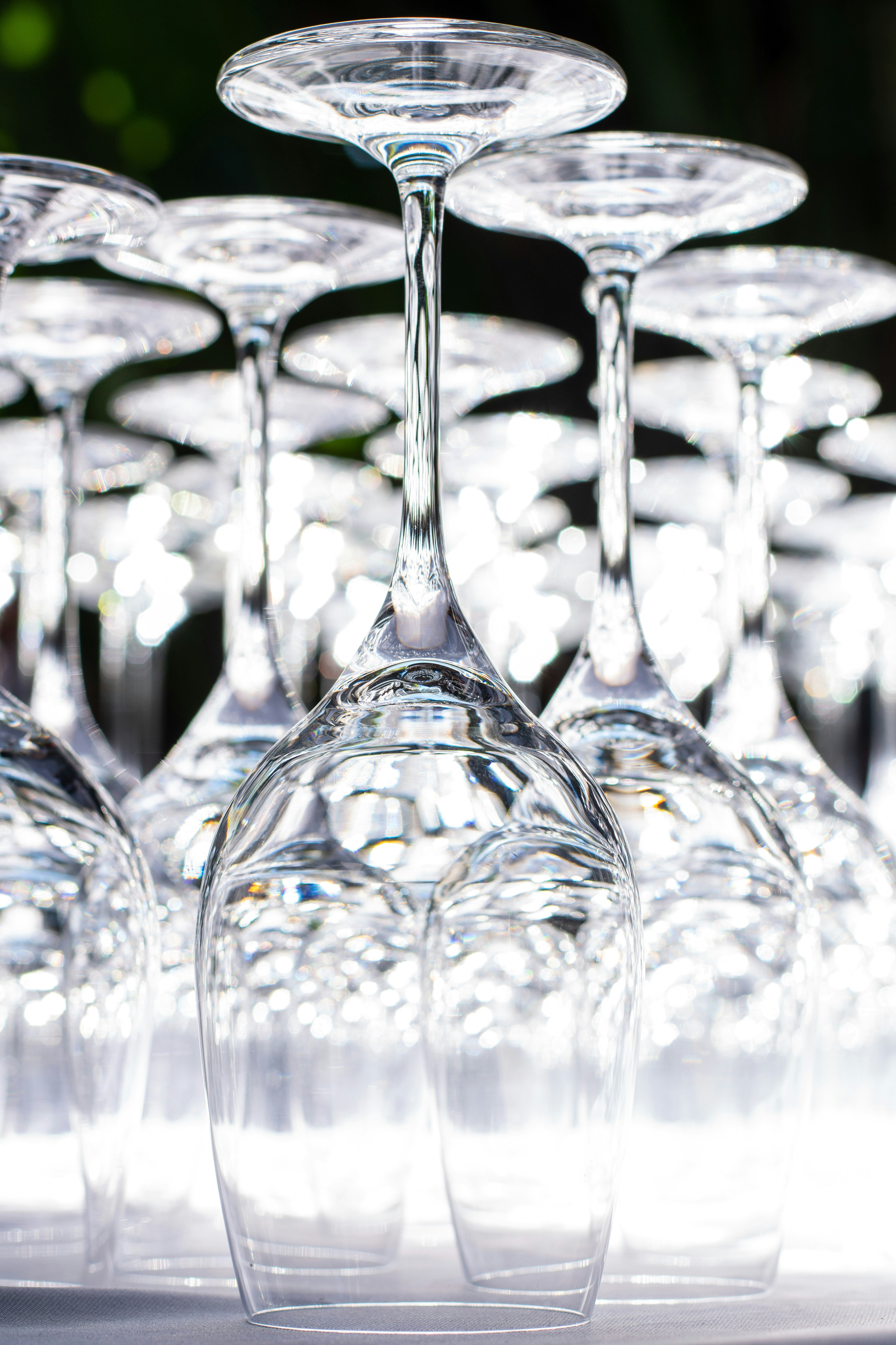 Can a Wine Glass Make Your Wine Taste Better?