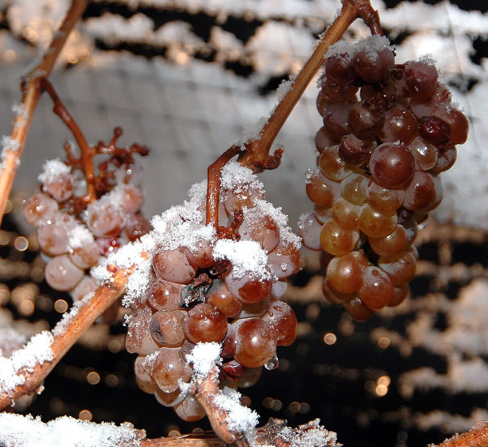 What is Ice Wine?