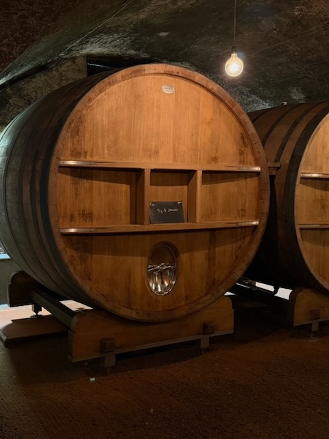 Ever Wonder How Oak Affects the Flavor of Wine?