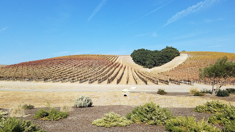 Paso Robles - Great Wine Country
