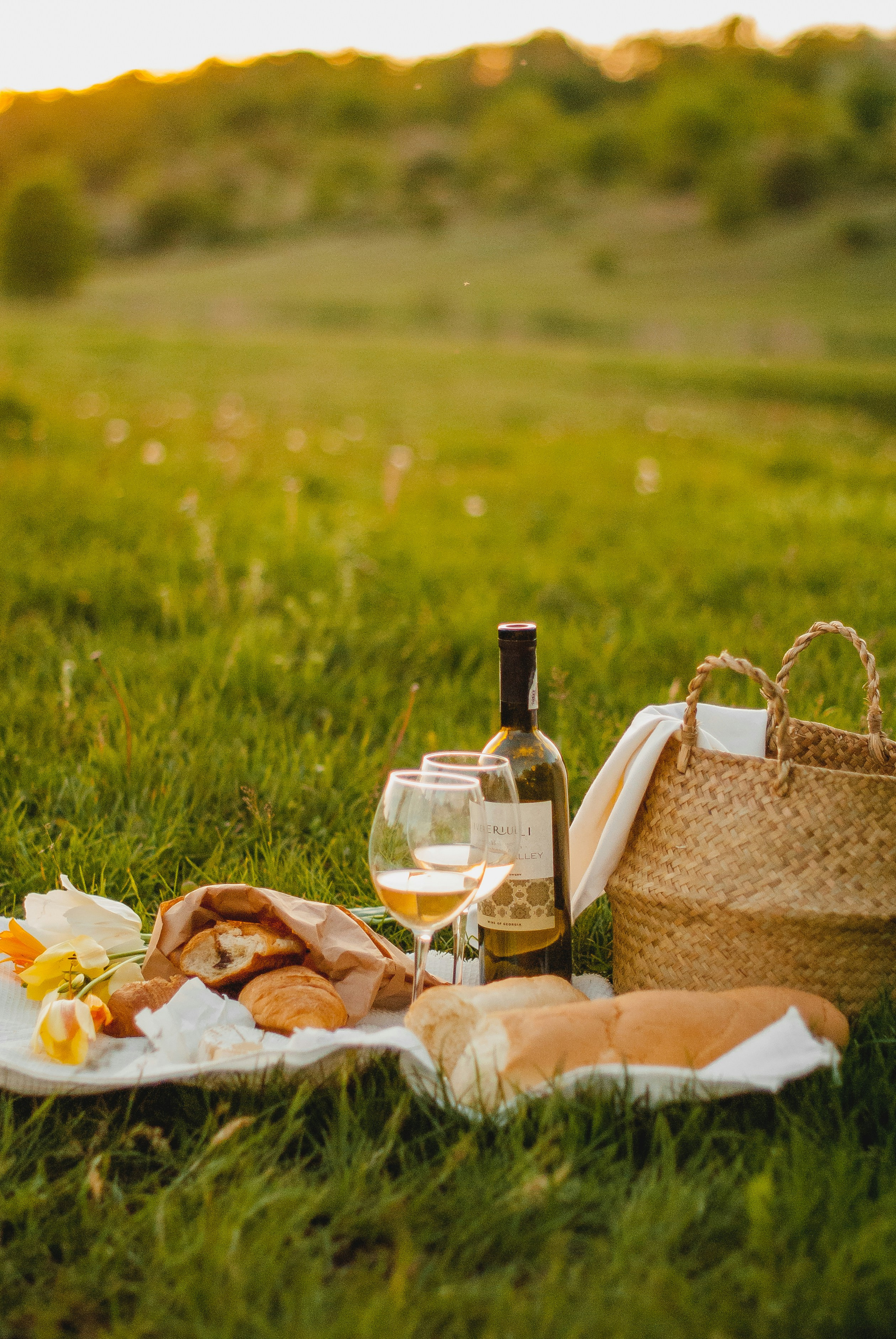 Ever Wonder What is Considered a "Picnic" Wine?
