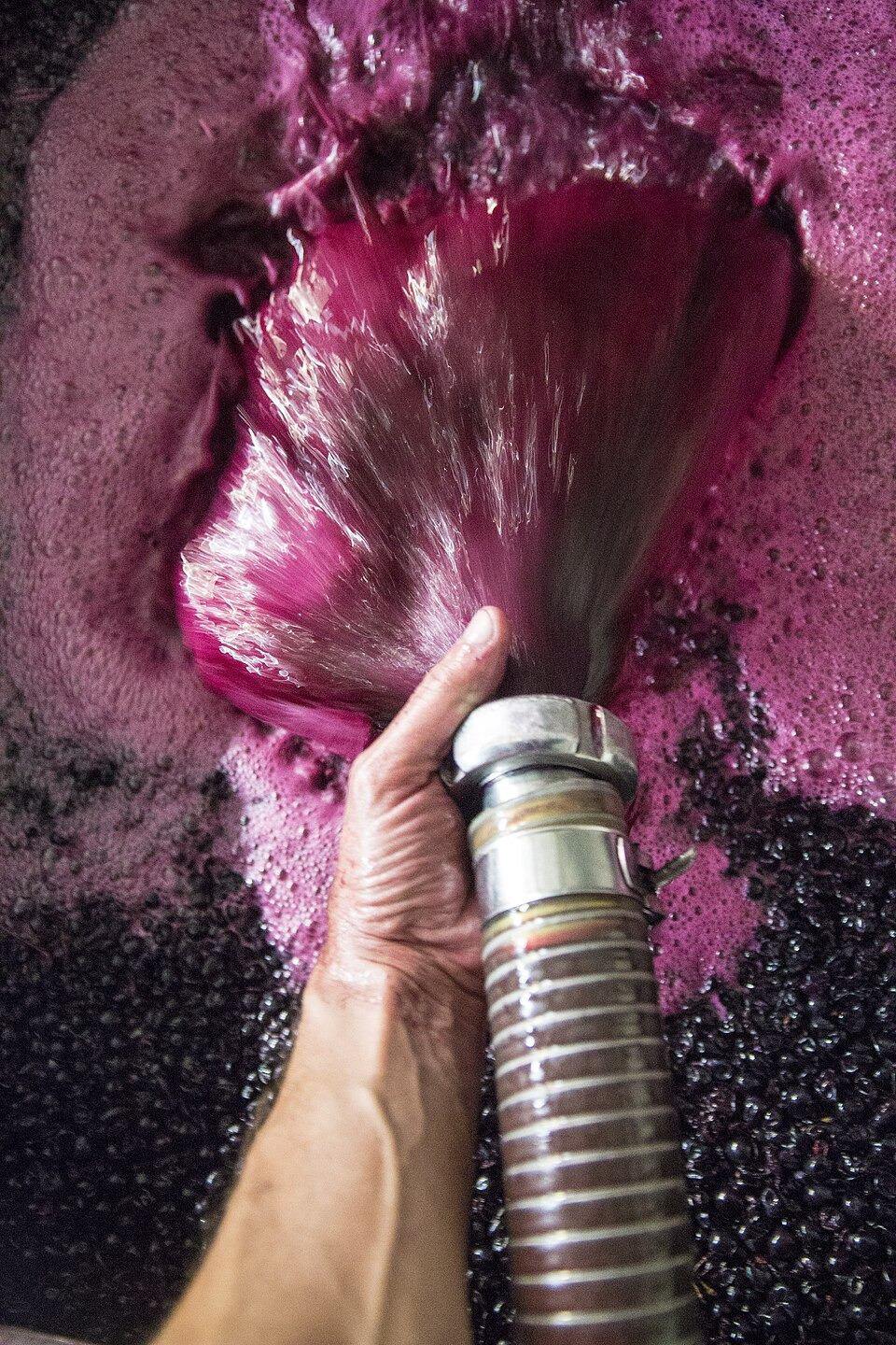 Wine Flavors from Fermentation - Part 2