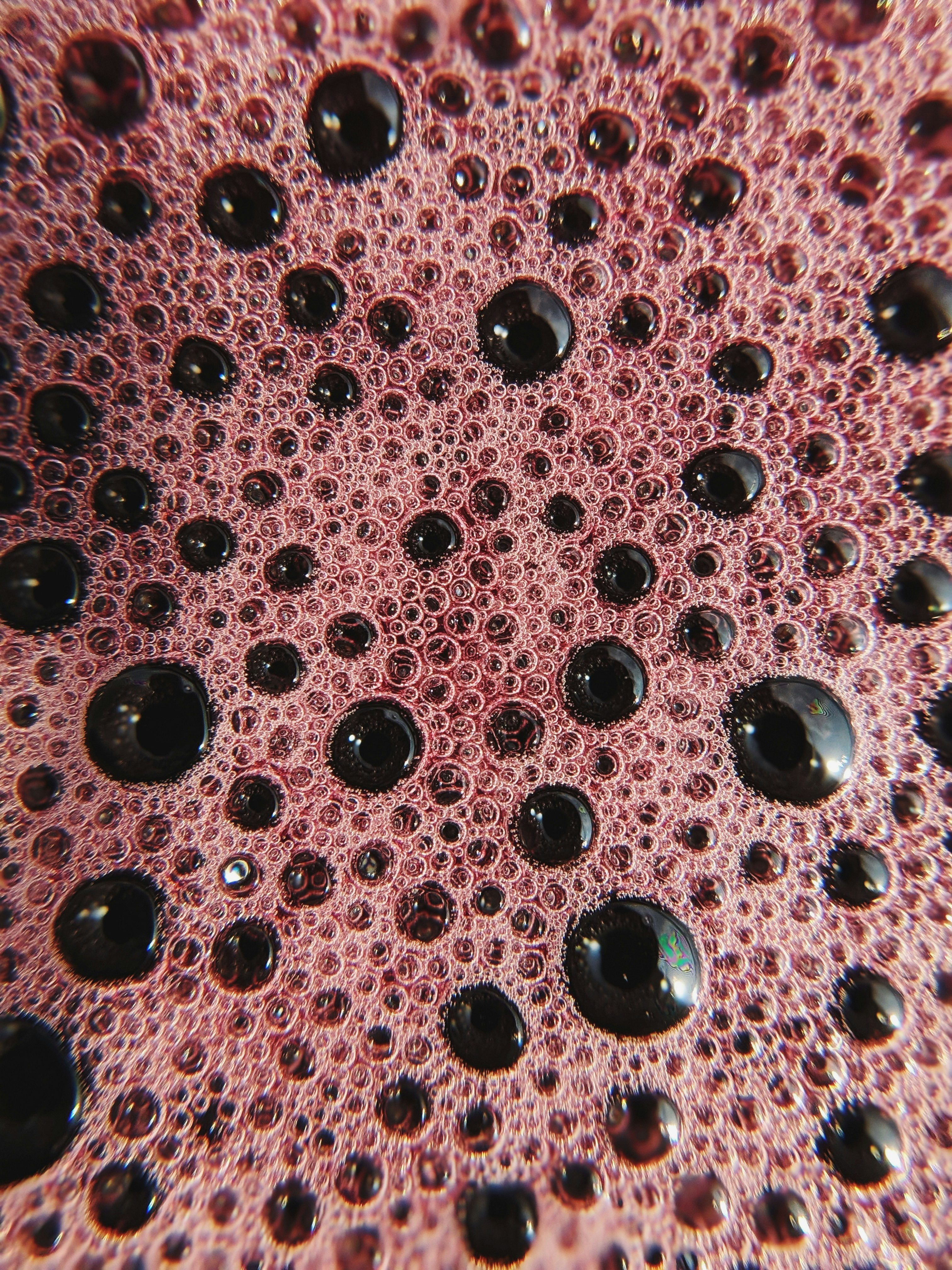 Ever Wonder? How is Wine Made? Part 2