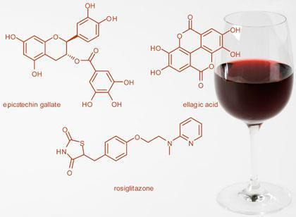 The Second Fundamental Trait of a Good Wine -- Tannin