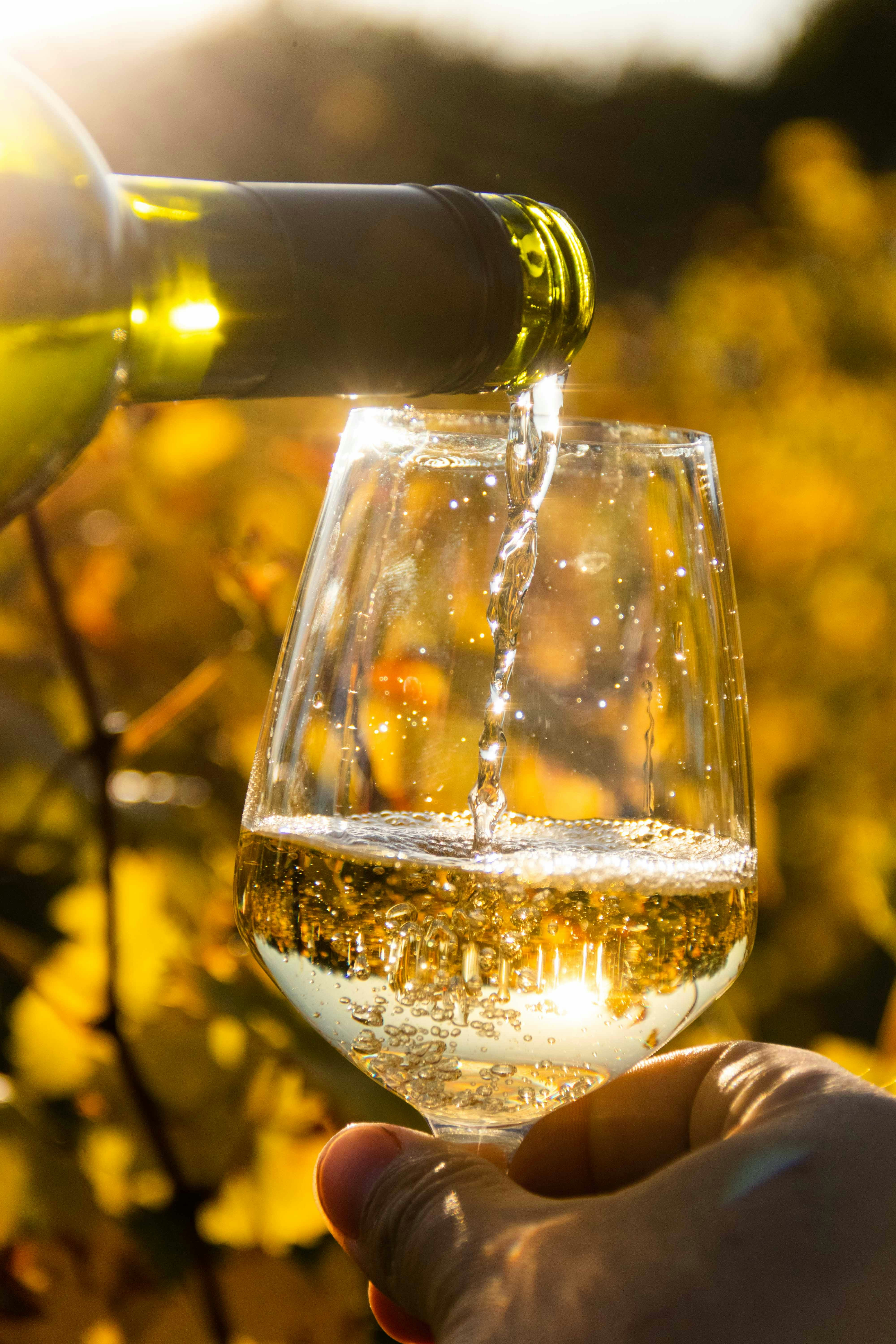 Ever Wonder What it Means for a Wine to be Organic?