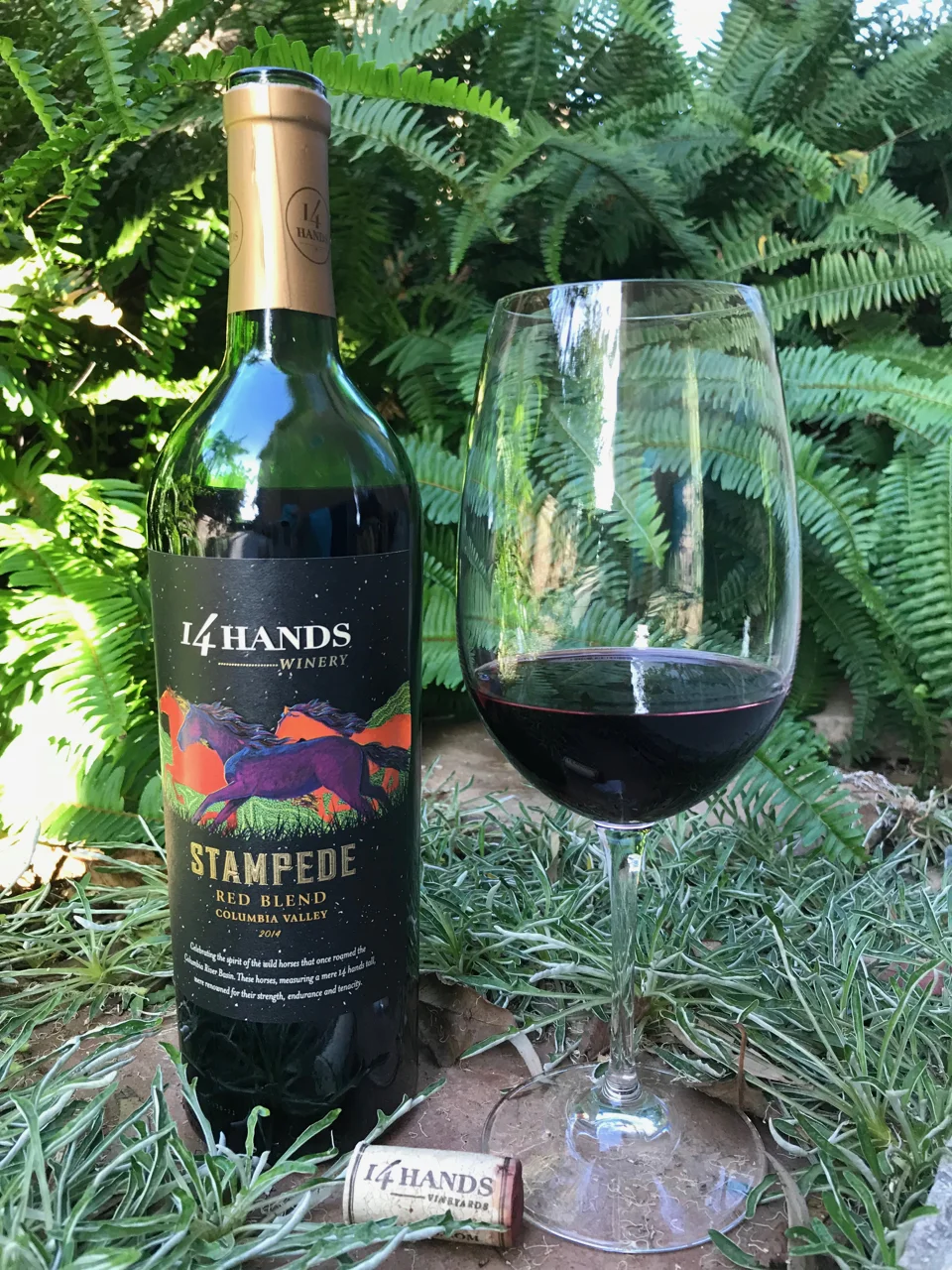 Behind the Cork™ - Wine of the Week