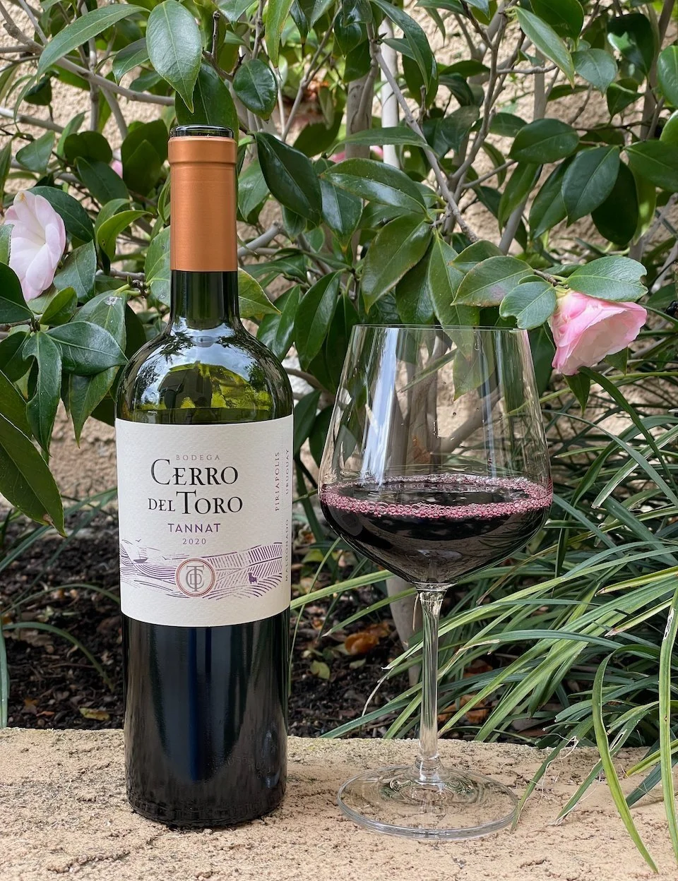 Behind the Cork™ - Bodega Cerro del Toro Tannat