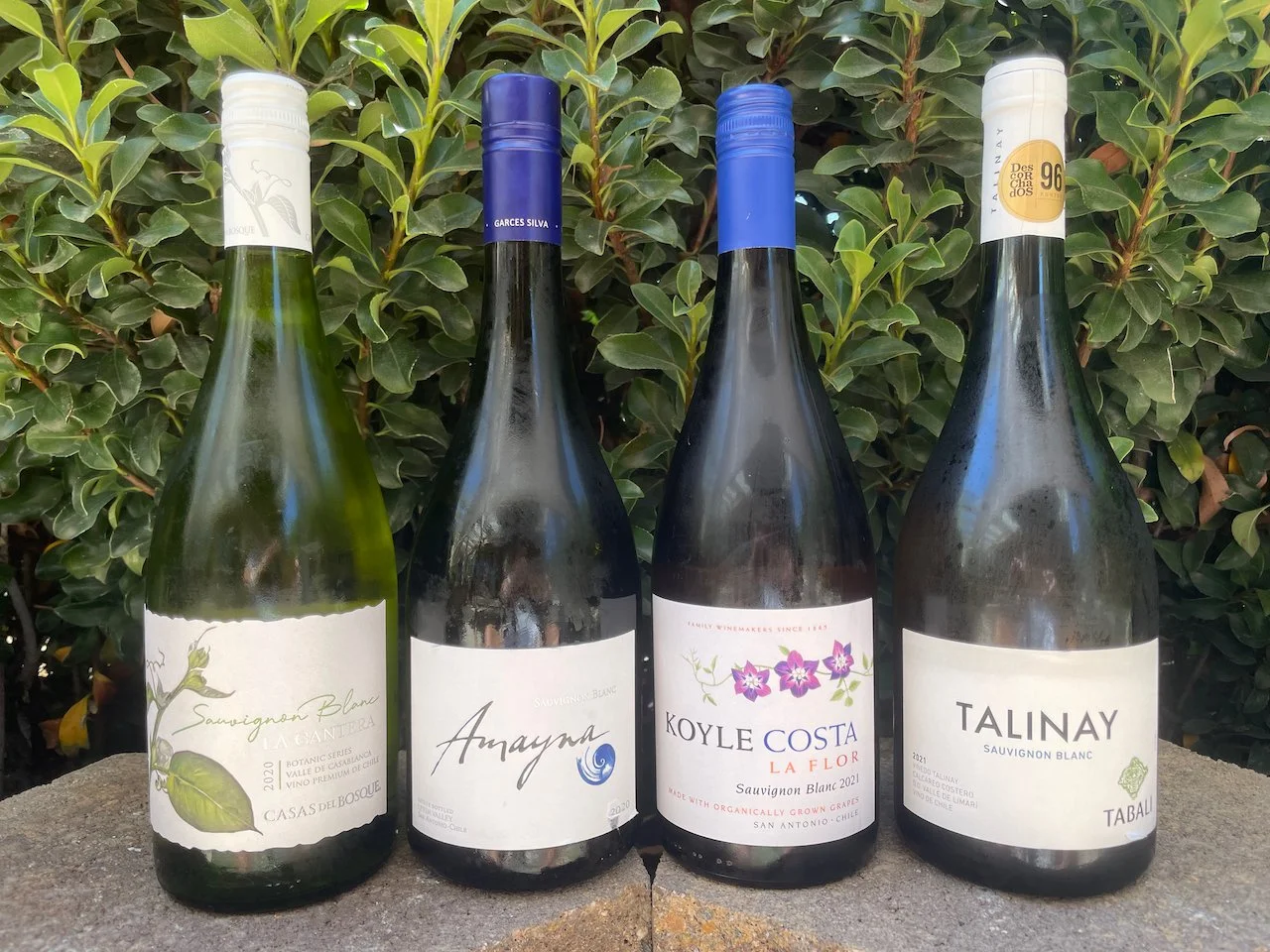 Behind the Cork™ - Chile's Coastal Sauvignon Blancs (Part 2)
