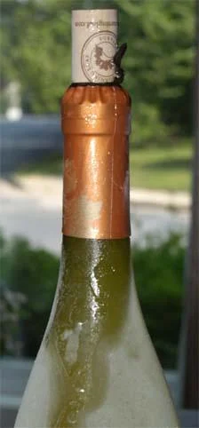 Ever Wonder?  Should You Chill a Bottle of Wine in the Freezer?