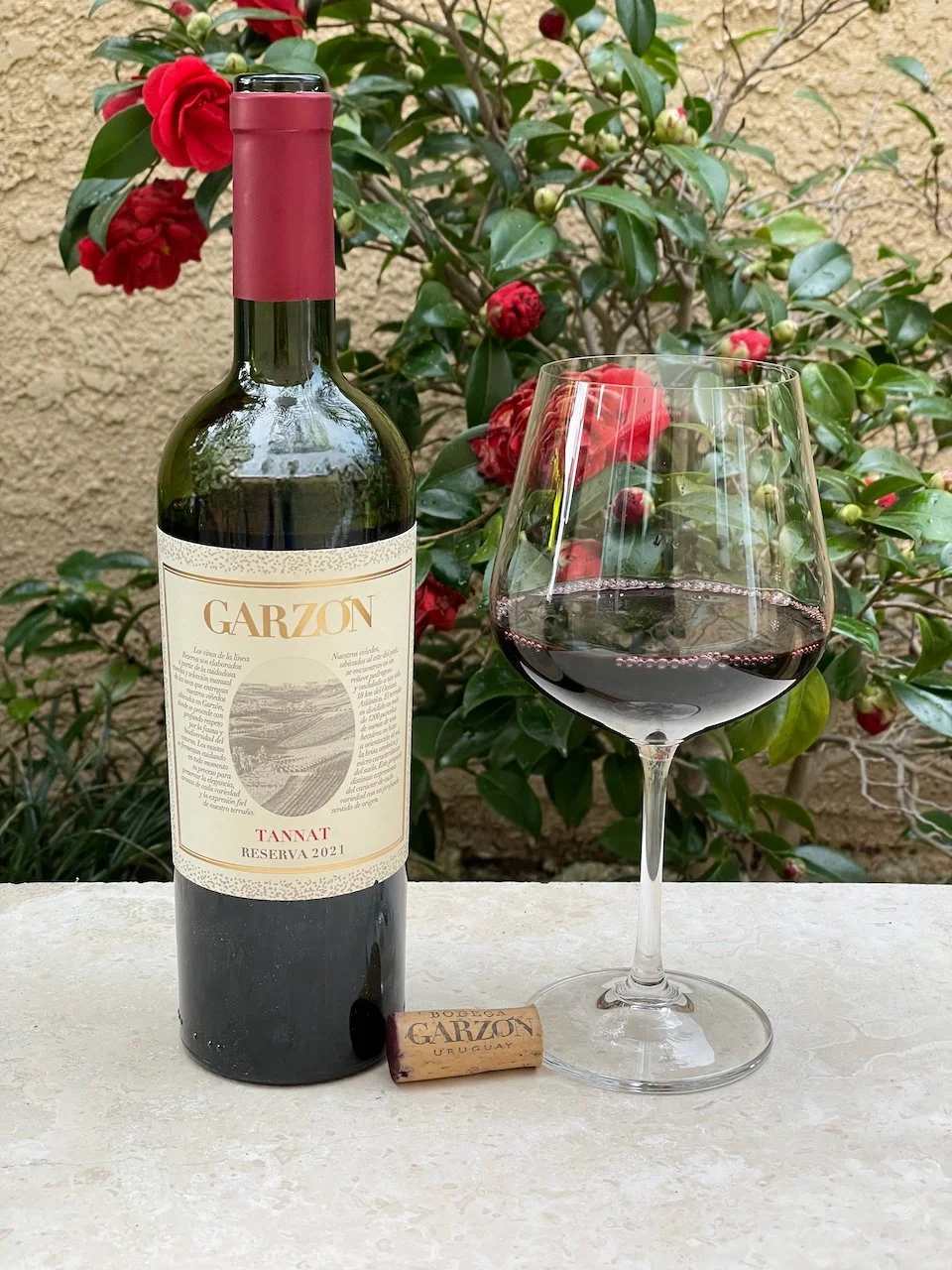 Behind the Cork™ - Bodega Garzon Tannat Reserva