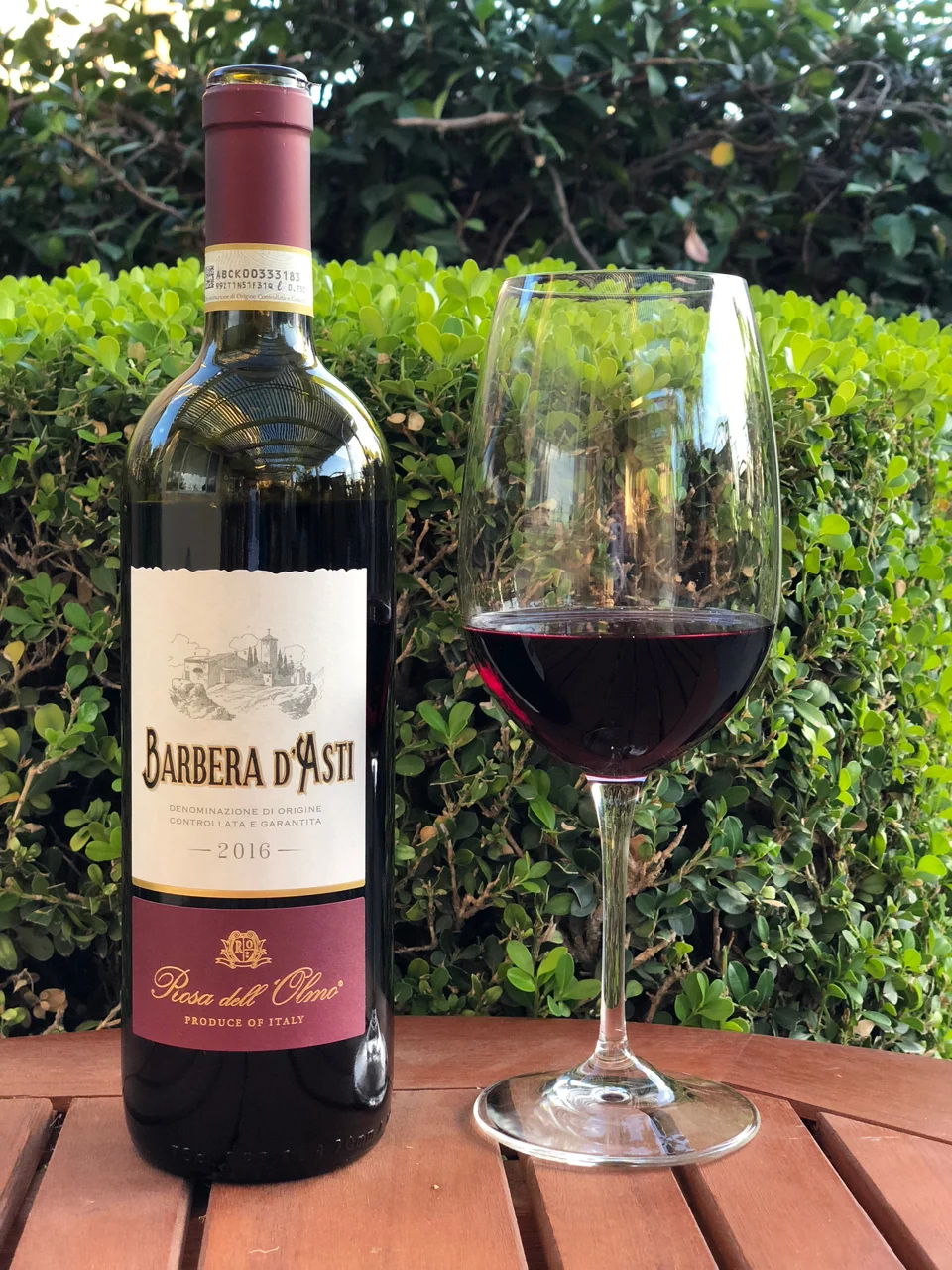 Barbera - A Wine Originally from Italy