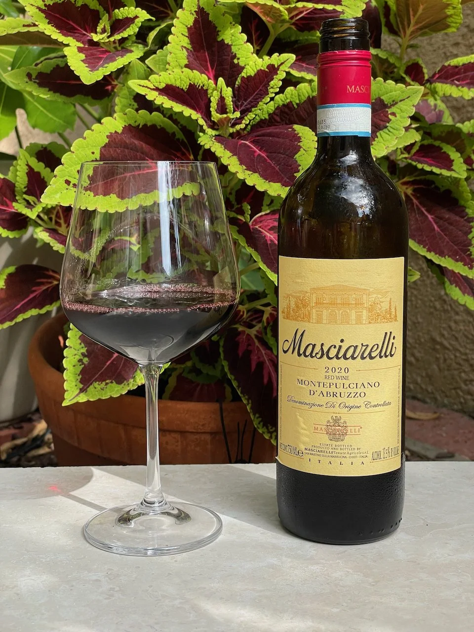 Behind the Cork™ - Masciarelli Montepulciano D'Abruzzo