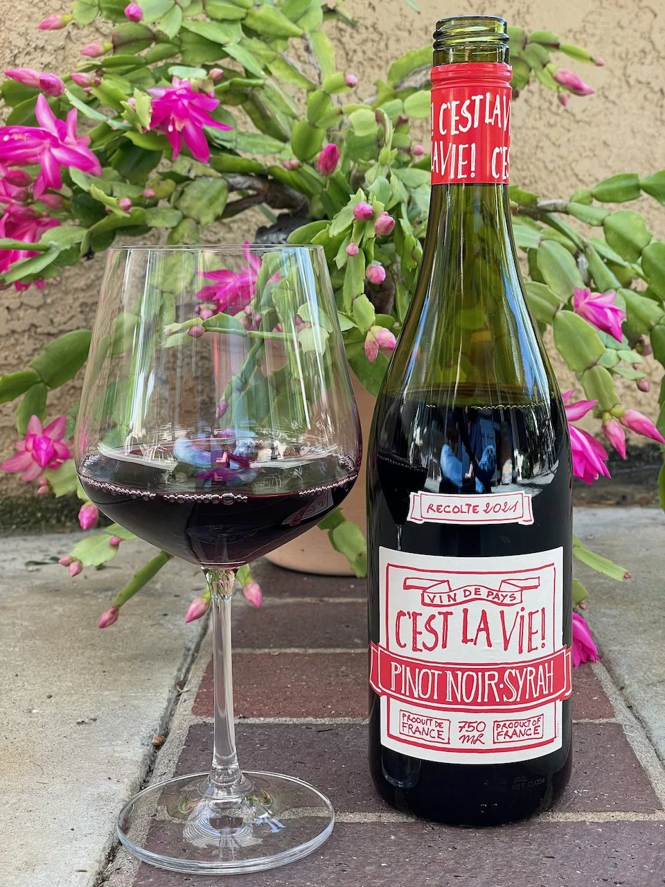 Behind the Cork™ - C'EST LA VIE Pinot Noir-Syrah
