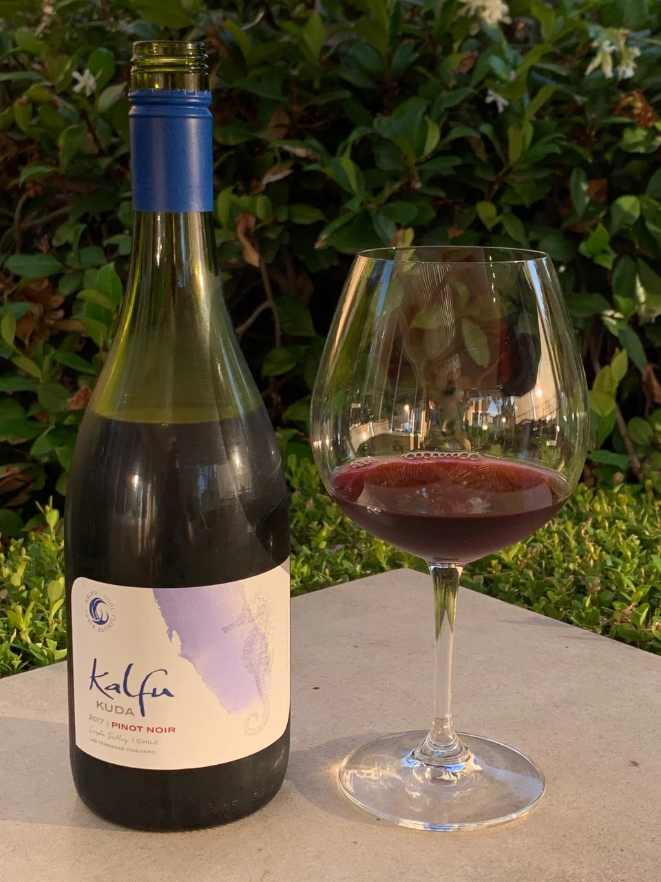 Behind the Cork™ - Kalfu Kuda Pinot Noir