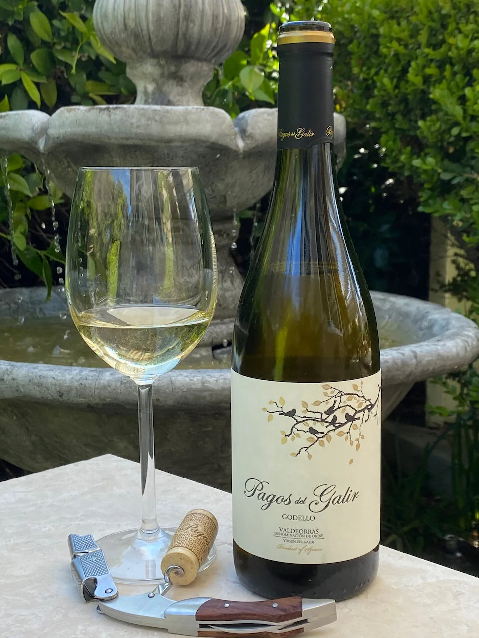 Behind the Cork™ - Pagos del Galir Godello