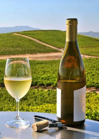 The White Wines of Piedmont Italy