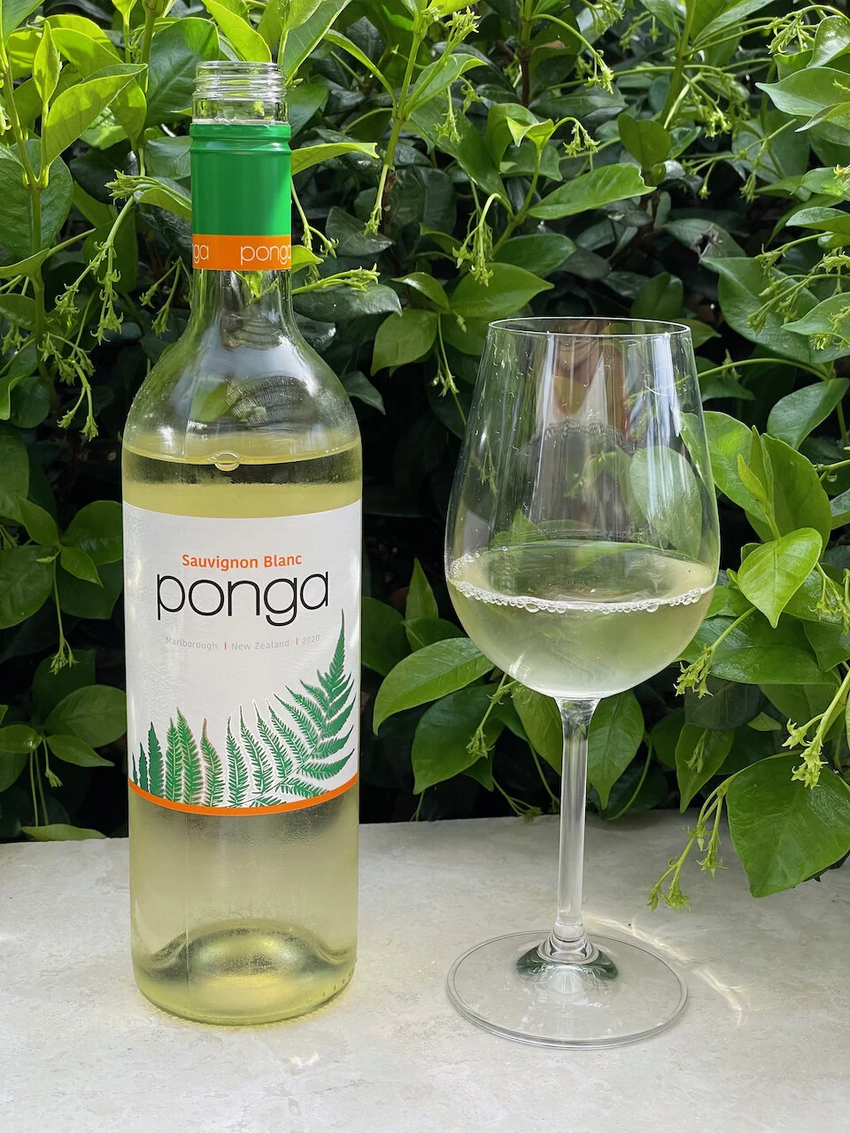 Behind the Cork™ - Ponga Sauvignon Blanc