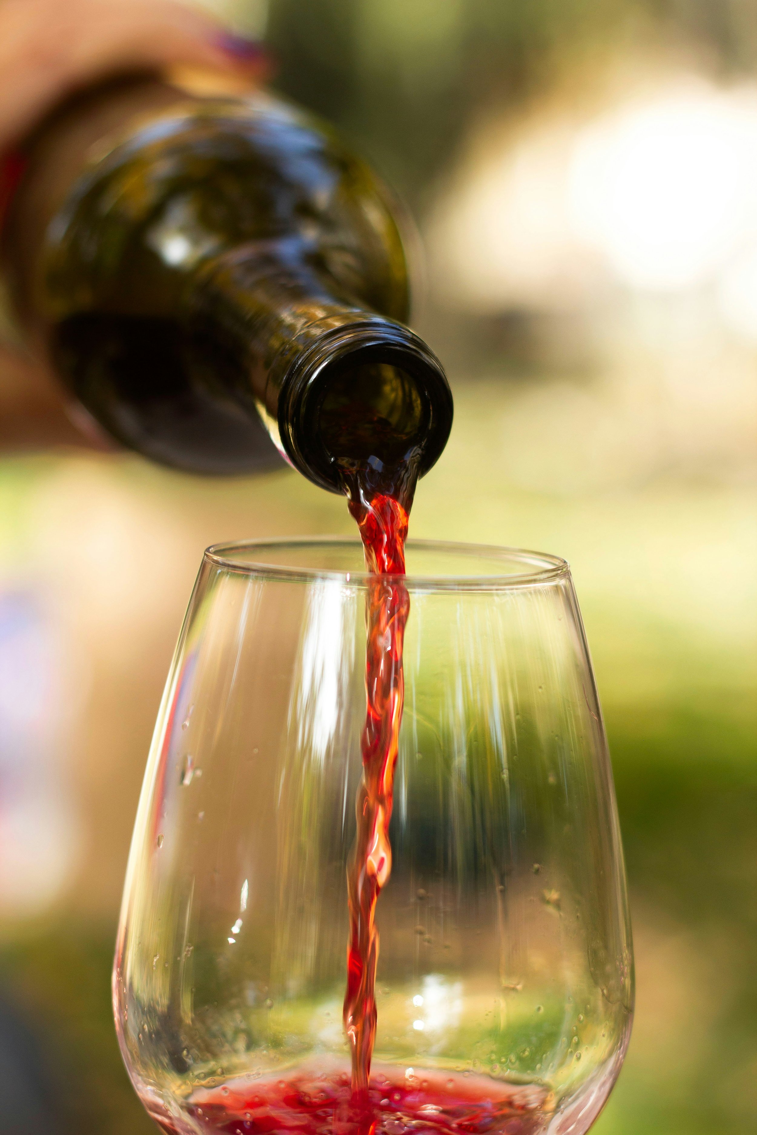 Ever Wonder? What Exactly is in Wine?