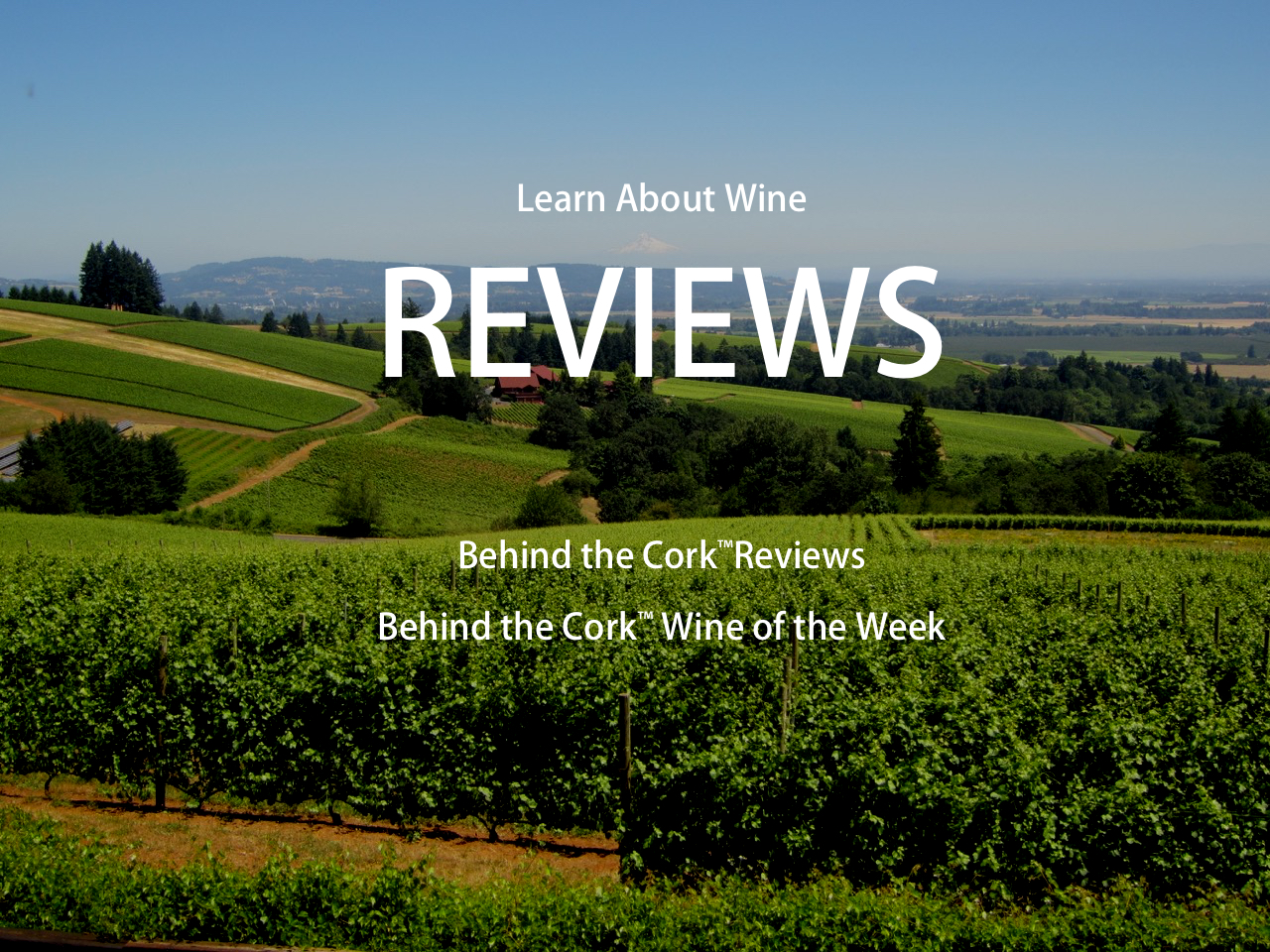Behind the Cork™ Reviews
