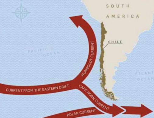 The Humboldt Current and Chile’s Coastal Wines