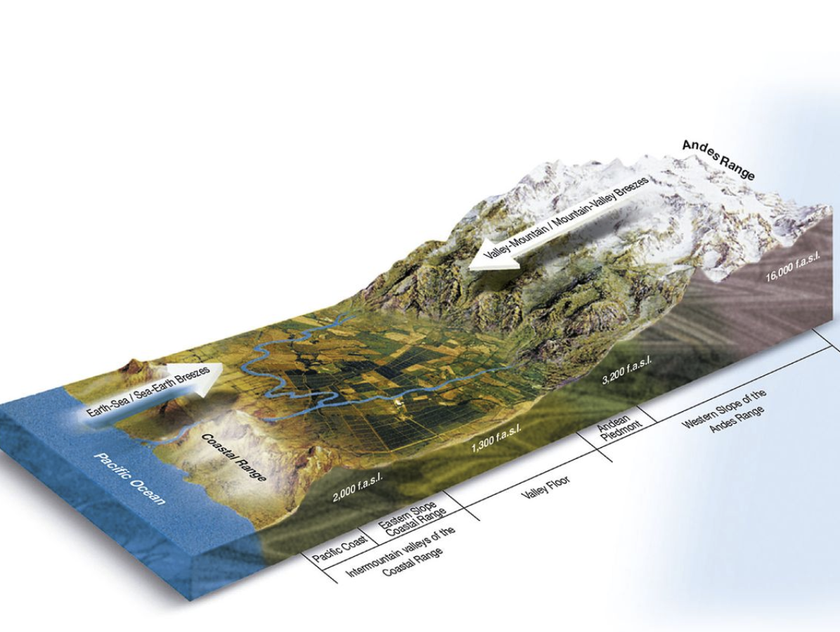 The Coastal Terroirs of Chile's Wine Country