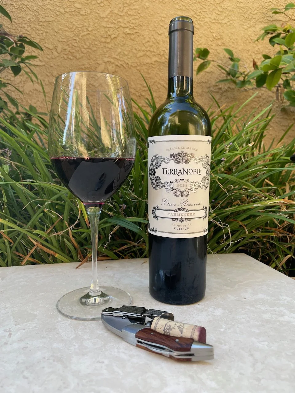 Behind the Cork™ - TerraNoble Gran Reserve Carmenere