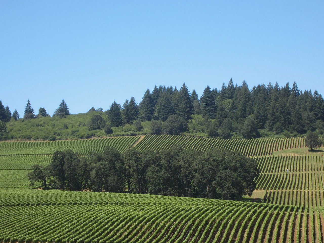 Visiting Wineries & Wine Tasting