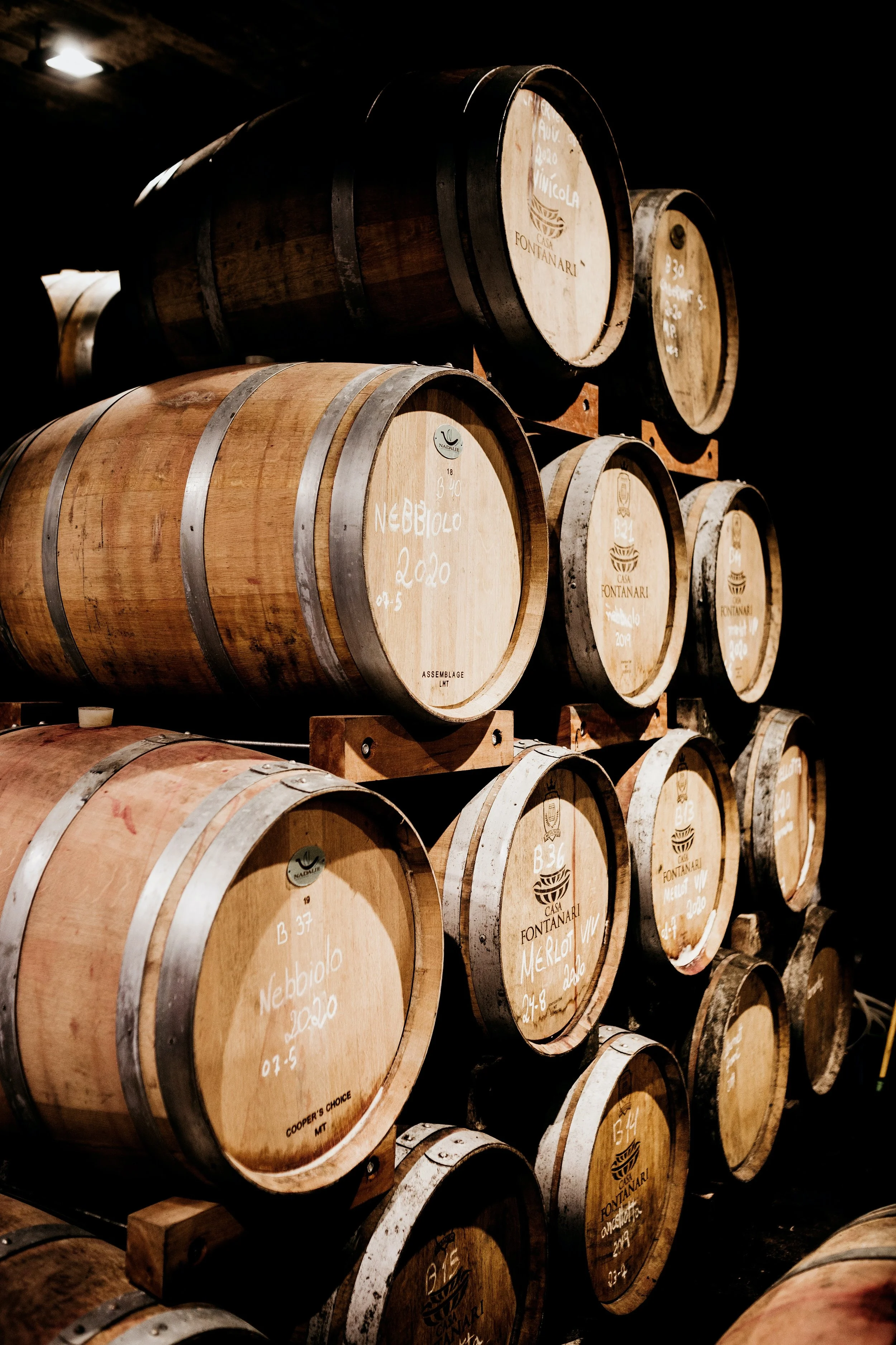 Ever Wonder About the Types of Oak Used in Wine Barrels?