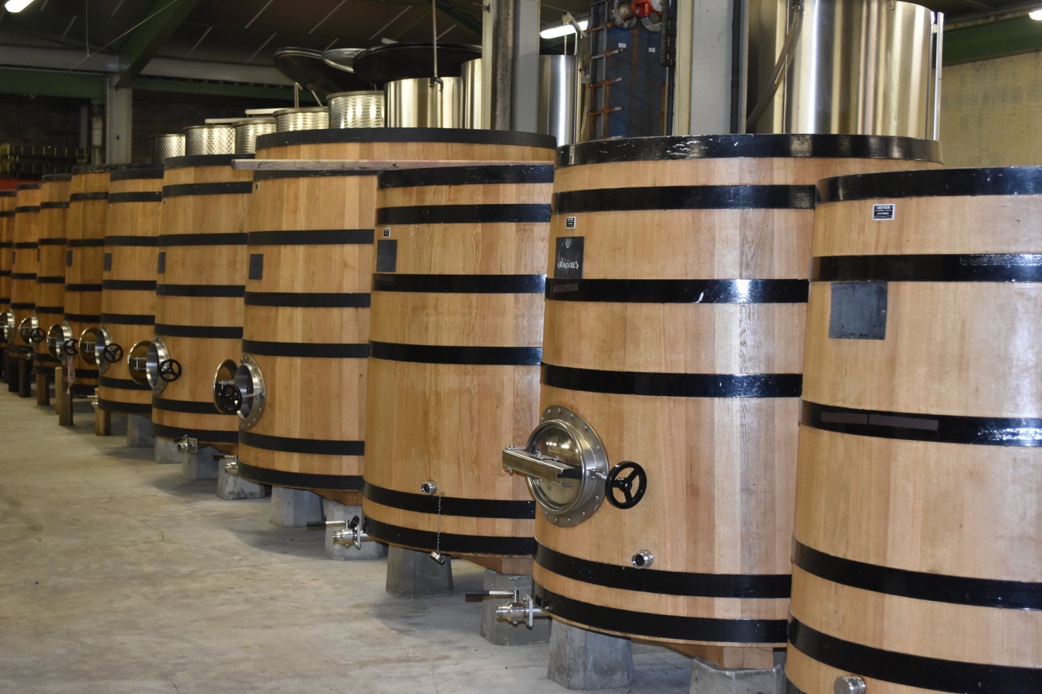 Wine Making
