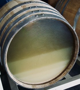 What are Lees in Winemaking?