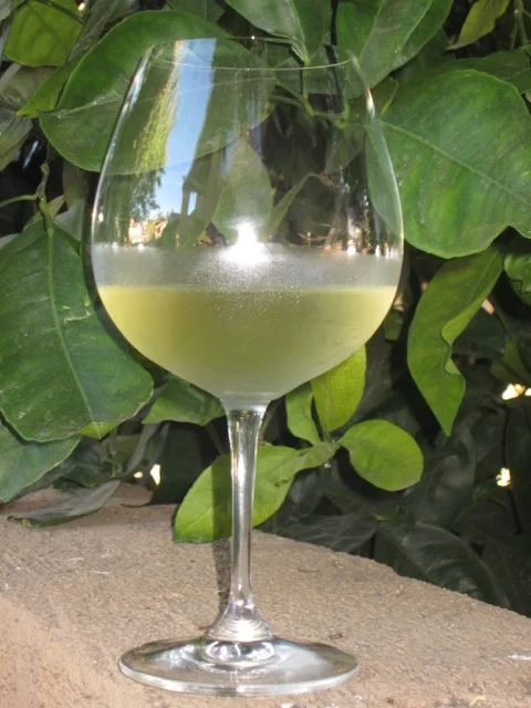 Light Bodied White Wines Are a Great Place to Start