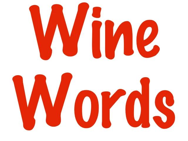 What Does "Vinted By" Mean?