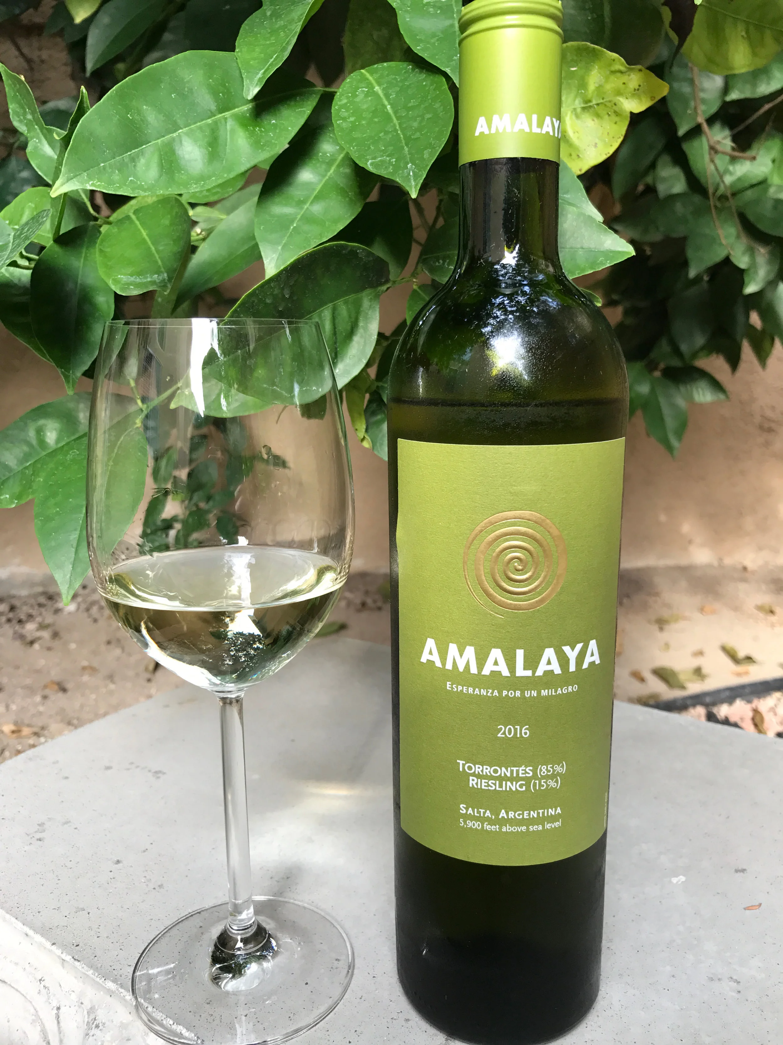 Behind the Cork™ - Wine of the Week