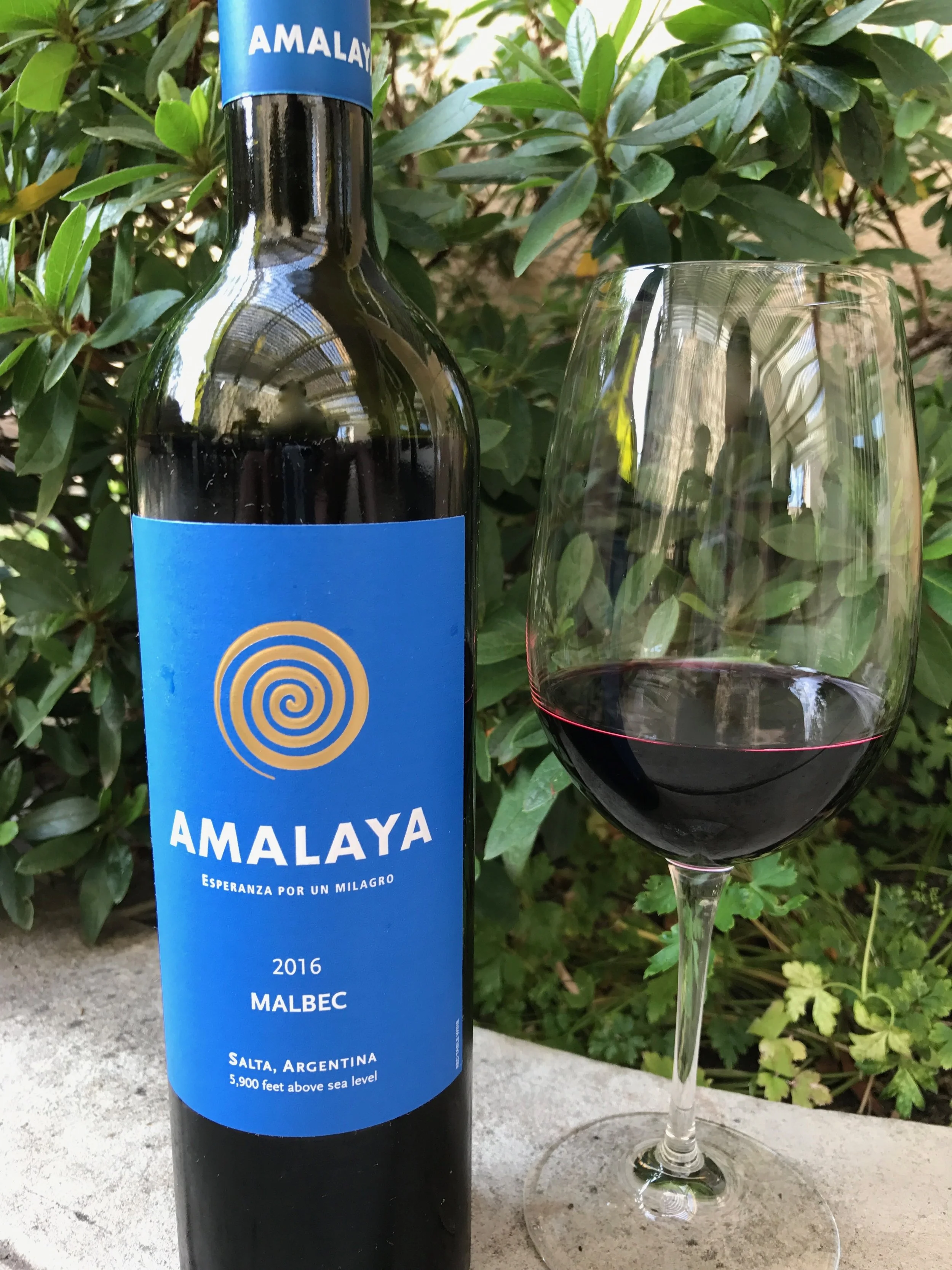 Behind the Cork™ - Wine of the Week